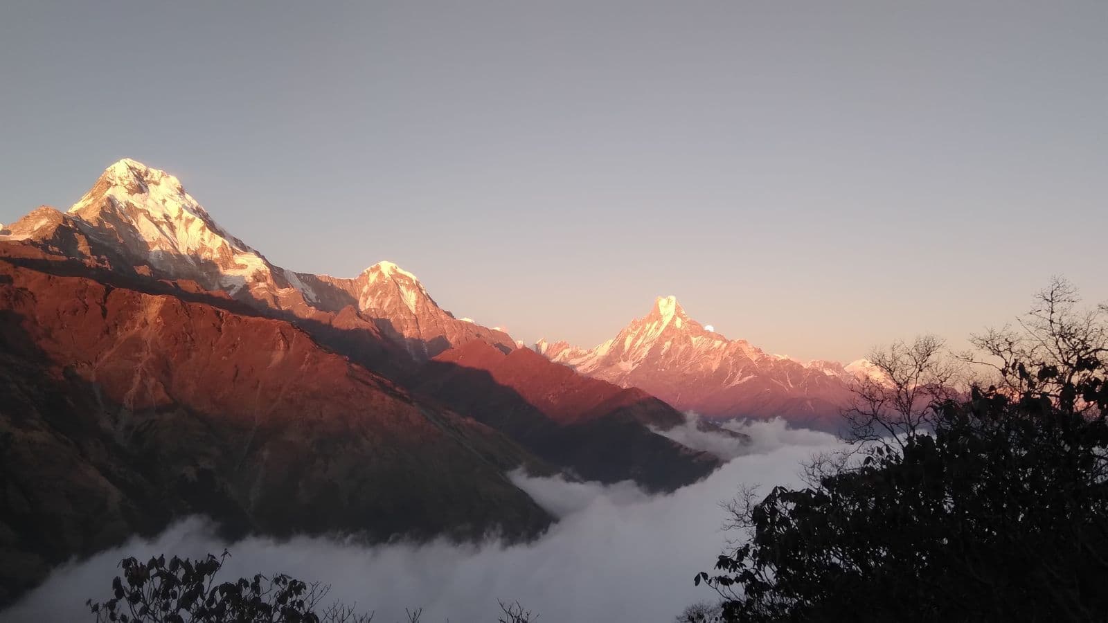 Sunset glow on the Annapurnas above a sea of cloud