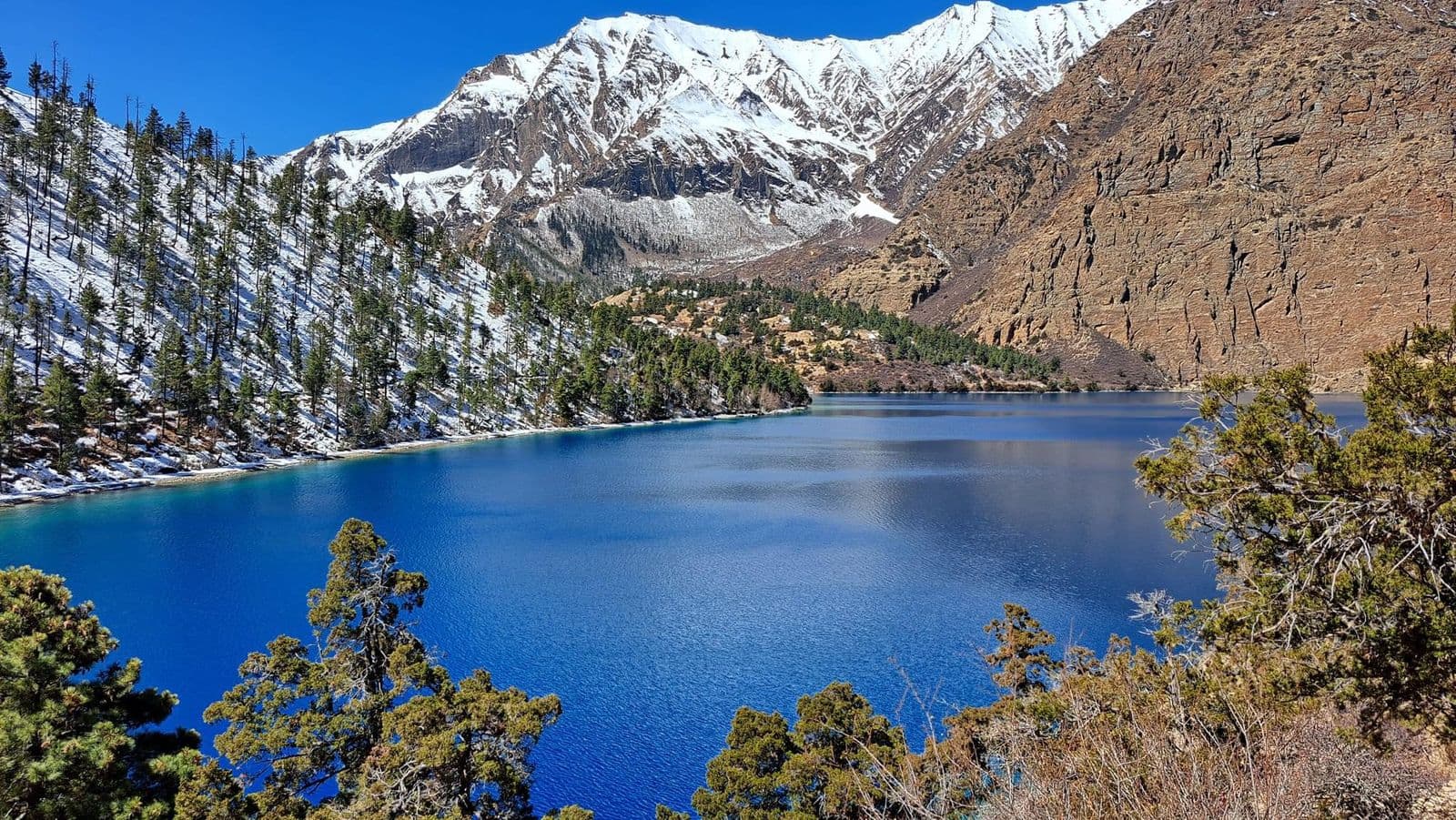 Turquoise lake surrounded by pine forest and snowy peaks