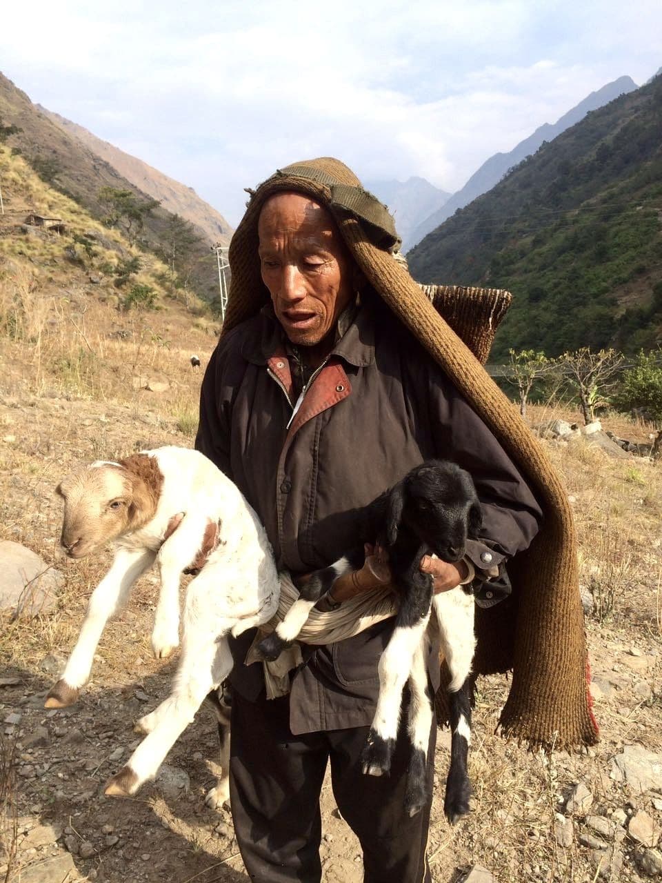 Herder carrying a young goat