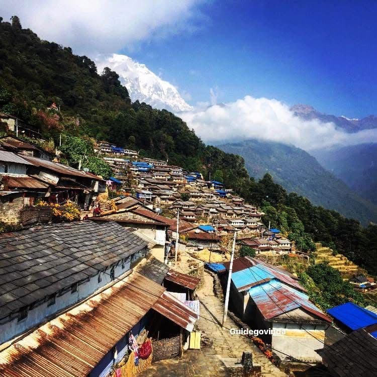 Village of tin roofs on a forested hillside